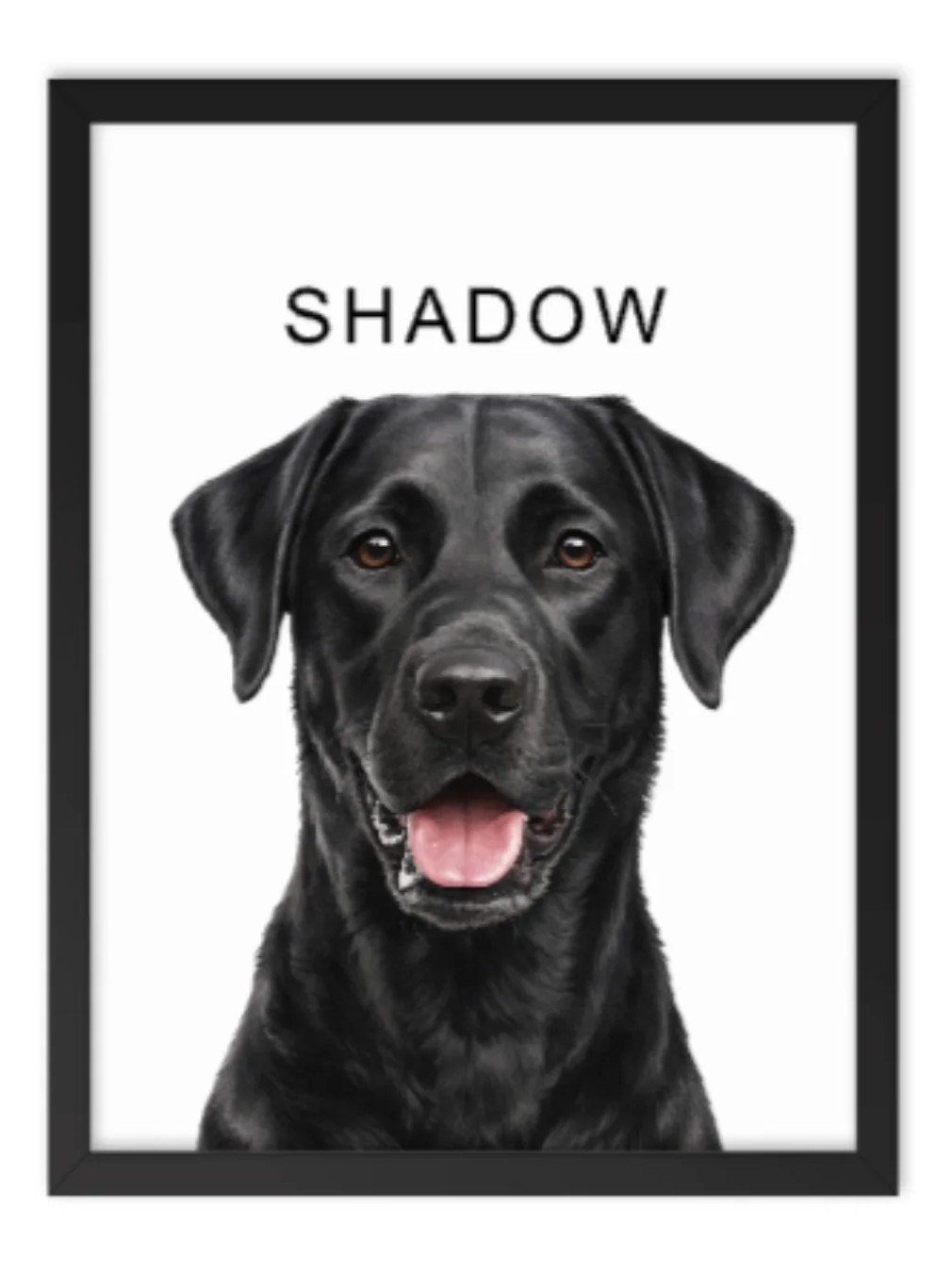 Shadow the dog